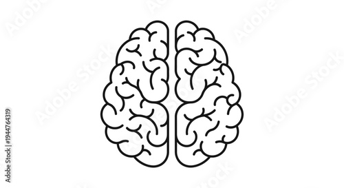 Brain Illustration for Science and Education.