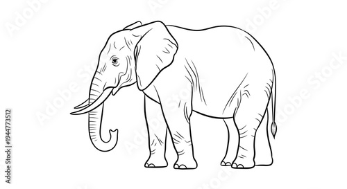 A detailed black and white line drawing of an African elephant standing on a plain surface.