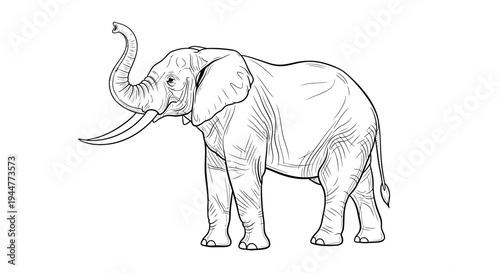 Detailed line art illustration of an African elephant with its trunk raised and long tusks, standing in profile.