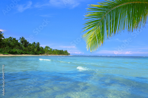 Sunny Tropical Beach with green Palm tree branch and Ocean Waves.