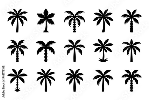 Palm tree vector silhouettes set tropical island vacation design elements summer beach graphics vector