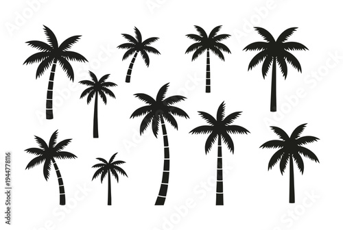 Black palm tree silhouette vector illustration for summer vacation and tropical beach design element