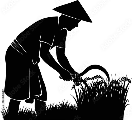 Farmer harvesting rice with sickle, traditional agriculture vector