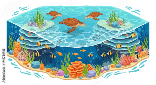 Isometric vector illustration of sea turtles and diverse sea animals swimming in a vibrant underwater ocean scene with coral reef and seaweed forest on World Wildlife Day