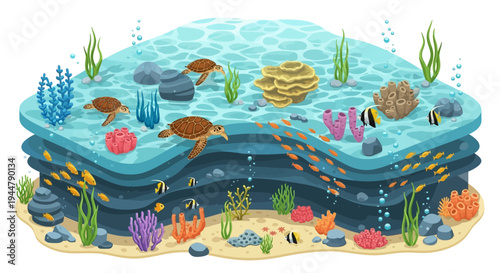 Isometric vector illustration of a vibrant underwater scene with sea turtles, fish, and coral reef, showcasing marine life and oceanic ecosystem on world wildlife day