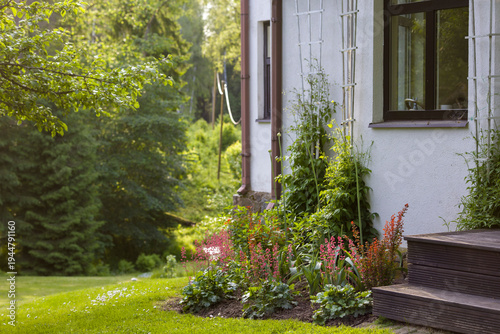 Beautiful garden with vibrant flowers next to a white house in a serene forest setting during daylight hours