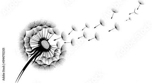 Black and white dandelion with seeds blowing in the wind. Delicate nature illustration representing wishes, freedom, hope, and new beginnings.