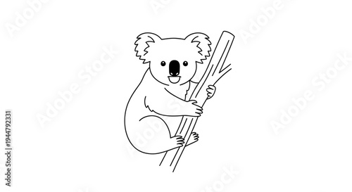 Cute koala bear line art illustration clinging to a tree branch. Simple black and white outline drawing of an adorable Australian animal.