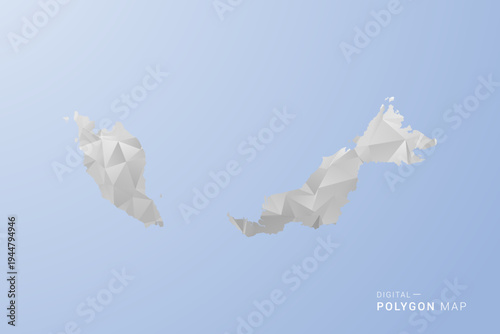 Malaysia Map - polygon style vector illustration in gray, white and blue tone, low-poly geometric design, minimal silhouette, suitable for infographic and modern design.