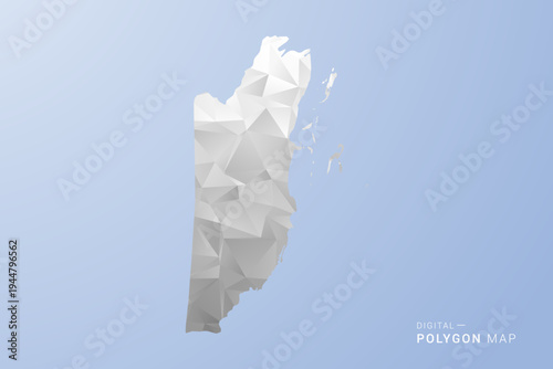 Belize Map - polygon style vector illustration in gray, white and blue tone, low-poly geometric design, minimal silhouette, suitable for infographic and modern design.