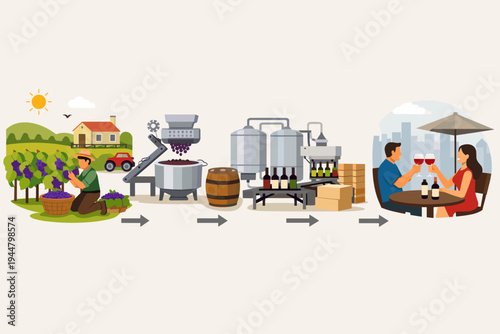 Vector illustration of the complete wine production process from grape harvesting in a vineyard to industrial processing, fermentation in barrels, bottling, and final consumption by a couple.
