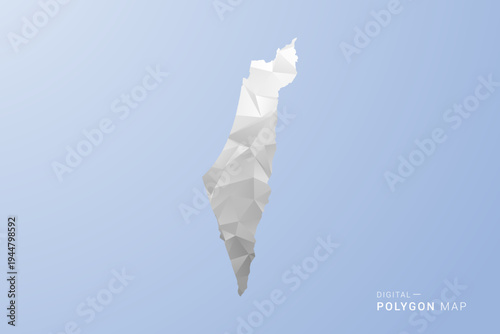 Palestine Map - polygon style vector illustration in gray, white and blue tone, low-poly geometric design, minimal silhouette, suitable for infographic and modern design.
