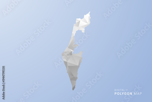 Palestine Map - polygon style vector illustration in gray, white and blue tone, low-poly geometric design, minimal silhouette, suitable for infographic and modern design.