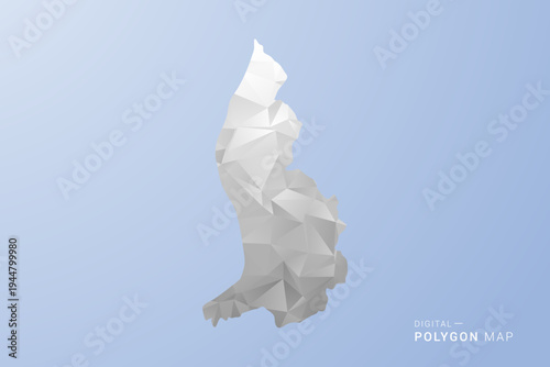 Liechtenstein Map - polygon style vector illustration in gray, white and blue tone, low-poly geometric design, minimal silhouette, suitable for infographic and modern design.