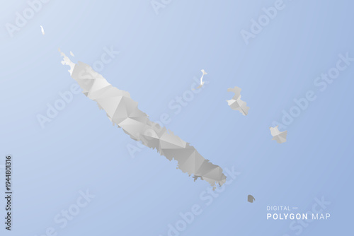 New Caledonia Map - polygon style vector illustration in gray, white and blue tone, low-poly geometric design, minimal silhouette, suitable for infographic and modern design.