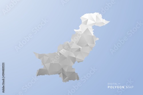 Pakistan Map - polygon style vector illustration in gray, white and blue tone, low-poly geometric design, minimal silhouette, suitable for infographic and modern design.