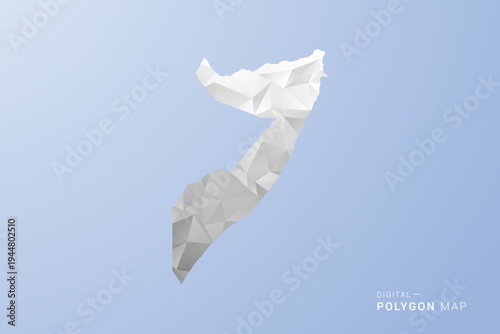 Somalia Map - polygon style vector illustration in gray, white and blue tone, low-poly geometric design, minimal silhouette, suitable for infographic and modern design.