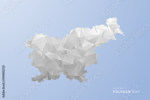 Slovenia Map - polygon style vector illustration in gray, white and blue tone, low-poly geometric design, minimal silhouette, suitable for infographic and modern design.