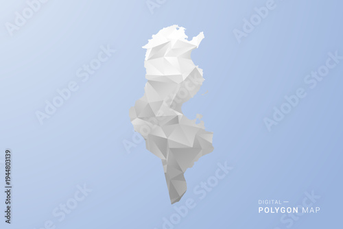 Tunisia Map - polygon style vector illustration in gray, white and blue tone, low-poly geometric design, minimal silhouette, suitable for infographic and modern design.