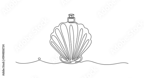 Vector seashell icon, line art illustration