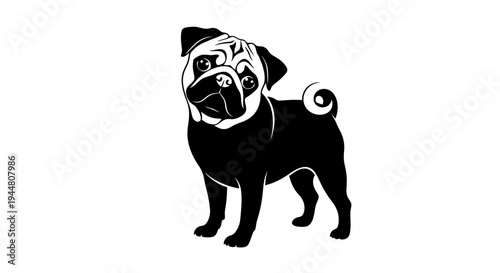 A Charming Pug Pet Vector Silhouette in a Playful Head Tilt Pose.