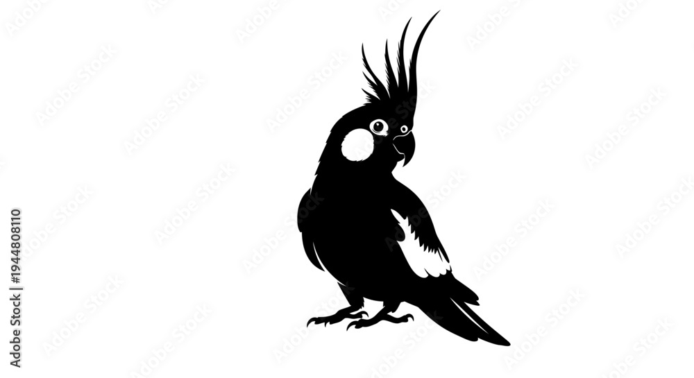 Fototapeta premium An Expressive Silhouette of a Cockatiel Parrot with Its Crest Proudly Raised.