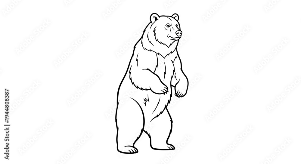 Obraz premium Powerful Bear Standing Boldly Coloring Page for Wildlife Lovers. transparent.