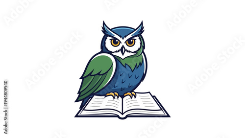 Colorful Owl Sitting on Open Book.