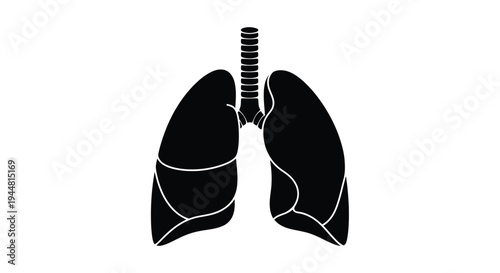 Anatomical depiction of human lungs in a dark silhouette