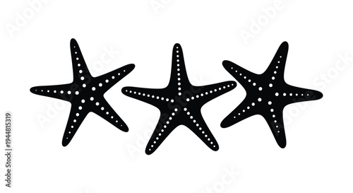 Three black starfish illustrations against a white background silhouette