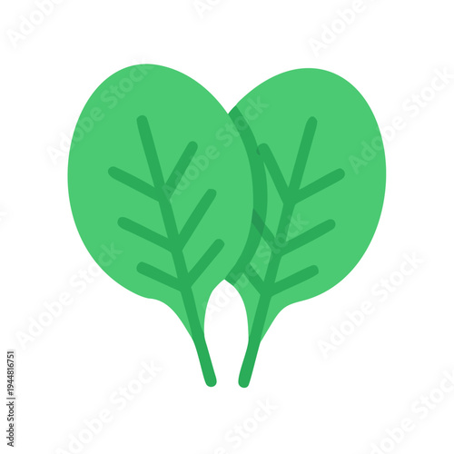 Two green spinach leaves vector illustration isolated against a black background