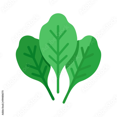 Fresh spinach leaves: minimalist flat lay on black background, a healthy vegetable option