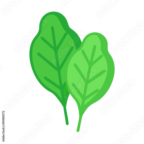 Two flat design spinach leaves overlapping with a solid black background, simple organic illustration