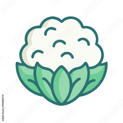 Stylized cauliflower illustration with rounded shapes and soft colors on black background