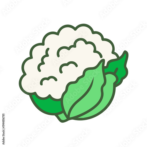 A stylized flat vector illustration of a whole fresh cauliflower on black background