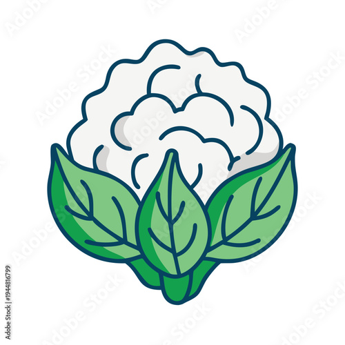Stylized cauliflower head with leaves, isolated on black background, vibrant colors