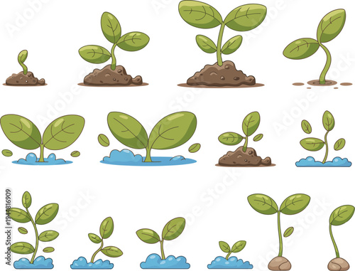 Plant Growth Illustration Set Eight Cartoon Stages from Sprout to Mature Leafy Plant in Clean Minimal Grid Layout