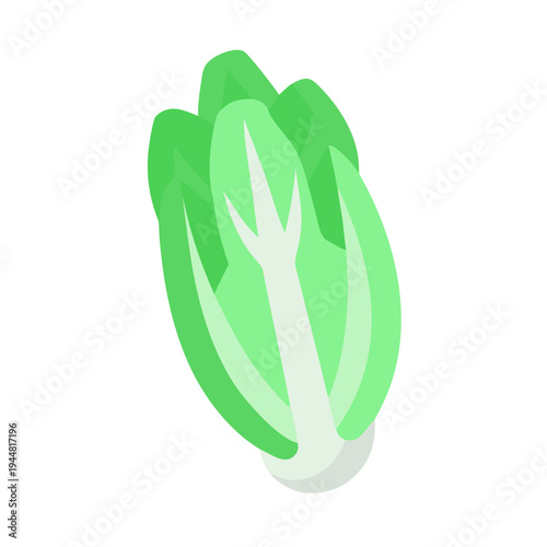 Minimalist bok choy illustration with fresh green shades over a black background
