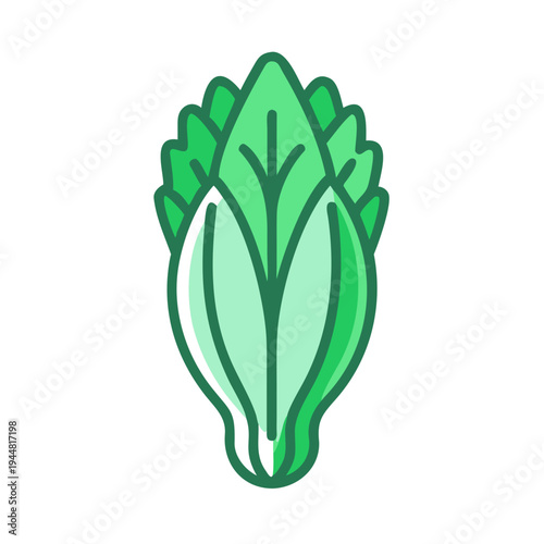 Stylized Bok Choy Illustration: A minimalist depiction of healthy eating and vibrant produce