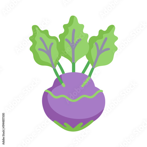 Vibrant kohlrabi illustration with three green leaves on a black background.