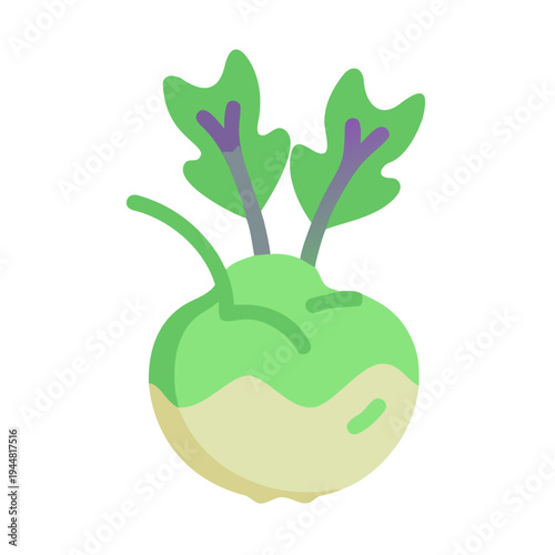 Simple kohlrabi illustration on black background showing green leaves and pale stem