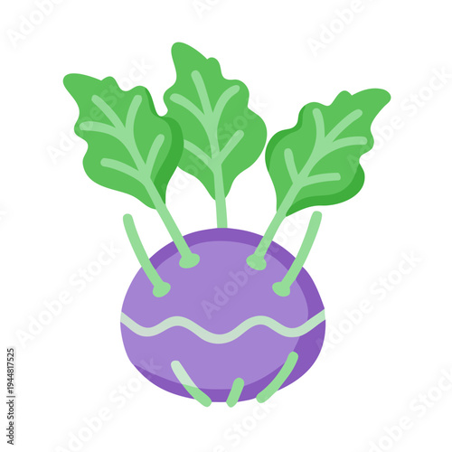 Isolated kohlrabi flat icon with leaves on black background, simple design