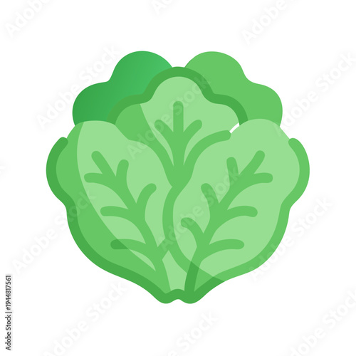Isolated flat vector graphic of a vibrant green lettuce on black background