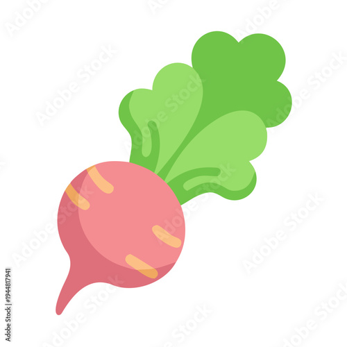 Radish vegetable illustration with leaves in pink and green on black background