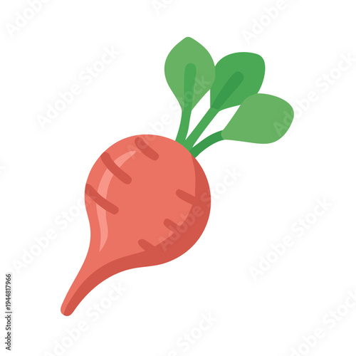 Isolated flat vector illustration of a red beet with green leaves on black