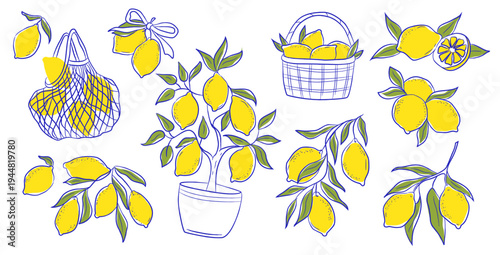 Lemon Branch Set Hand Drawn