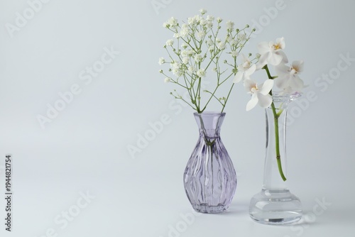 Beautiful flowers in glass vases on white background, closeup. Space for text