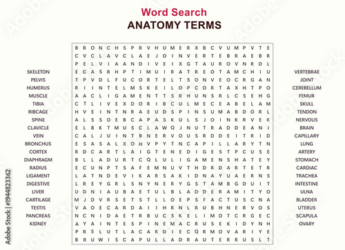 Anatomy terms word search puzzle for education and learning