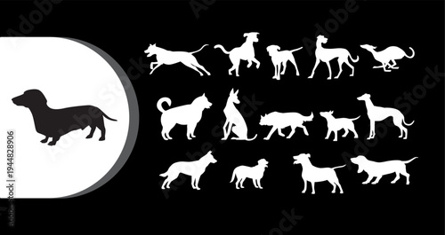 A collection of dog silhouettes in various poses on a black background