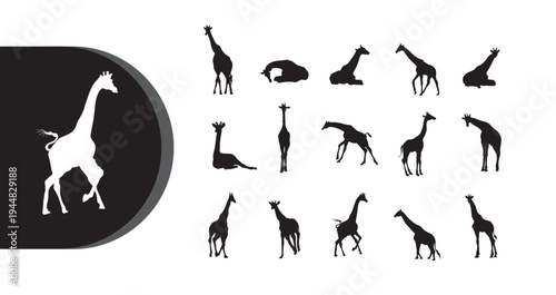 A collection of giraffe silhouettes in various poses on a white background